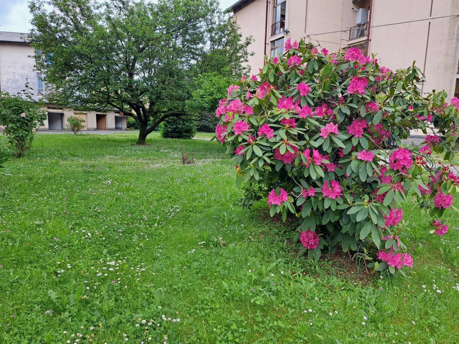 Seraval Valsesia Apartment Serravalle Sesia Kültér fotó