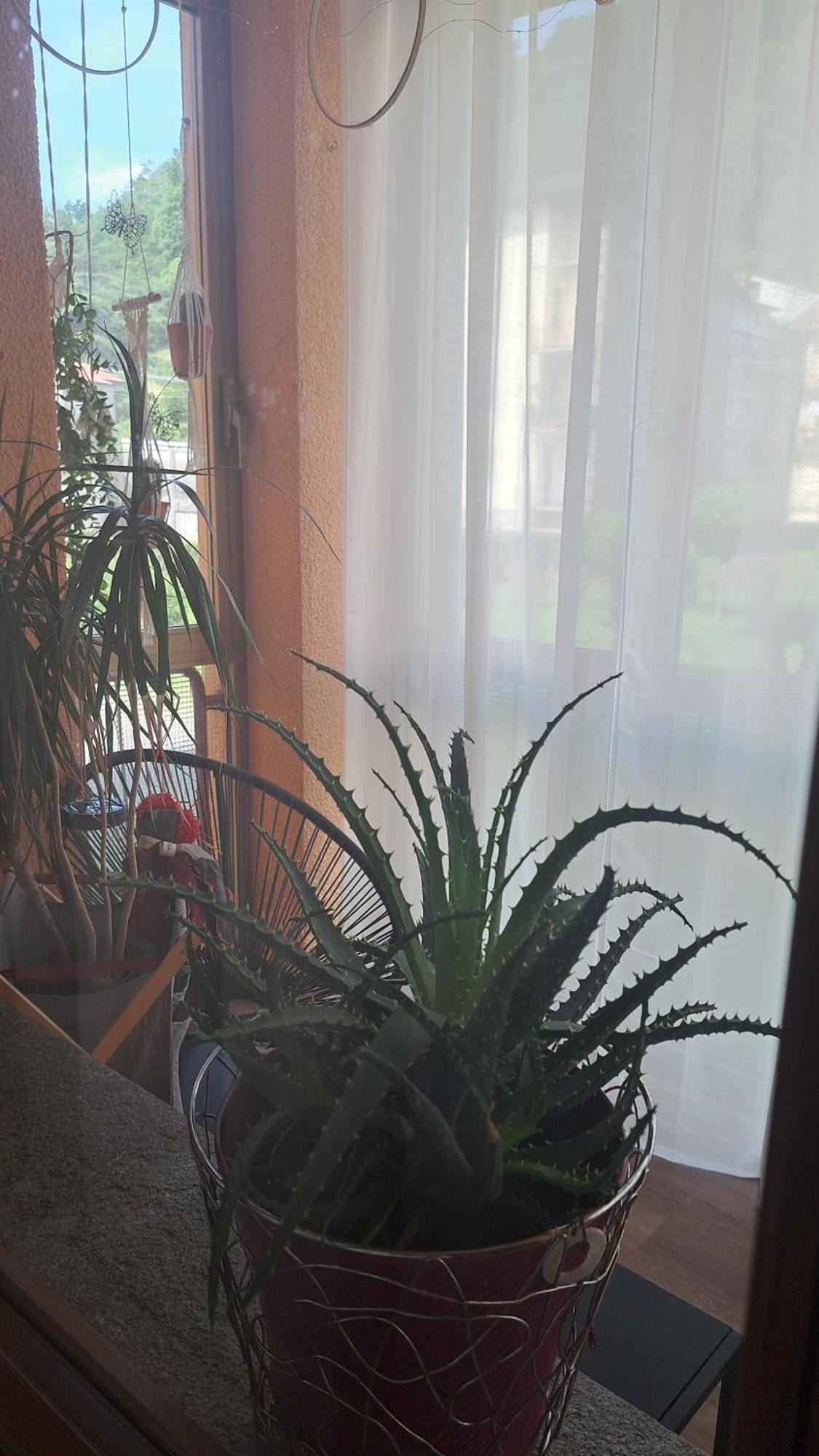 Seraval Valsesia Apartment Serravalle Sesia Kültér fotó
